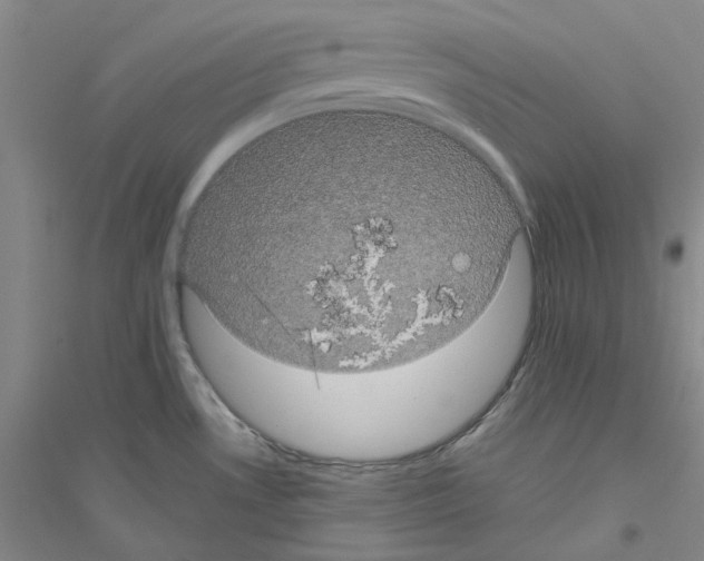 X0000116761530201001281601