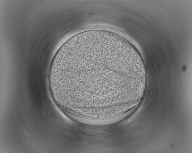 X0000116761533201001281601