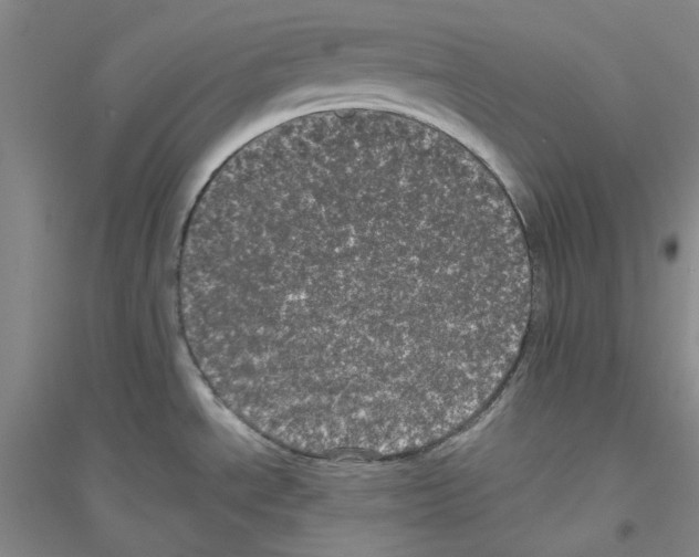 X0000116761534201001281601