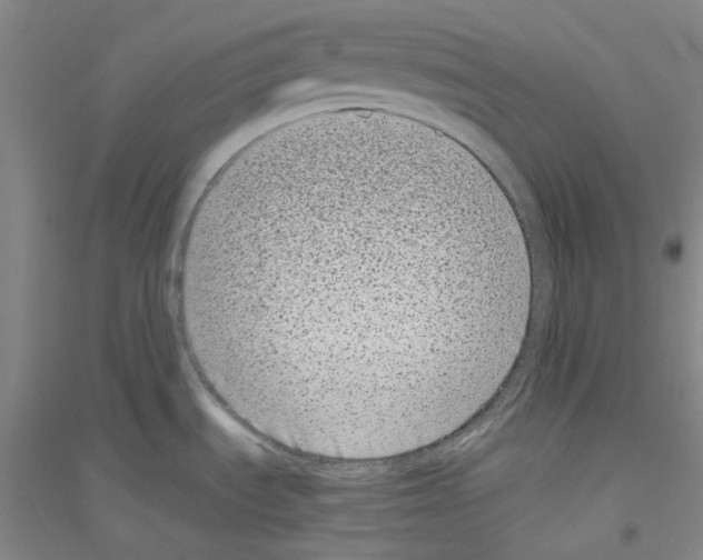 X0000116761535201001281601