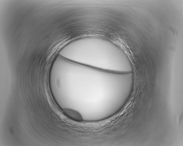 X0000116770001200912171141