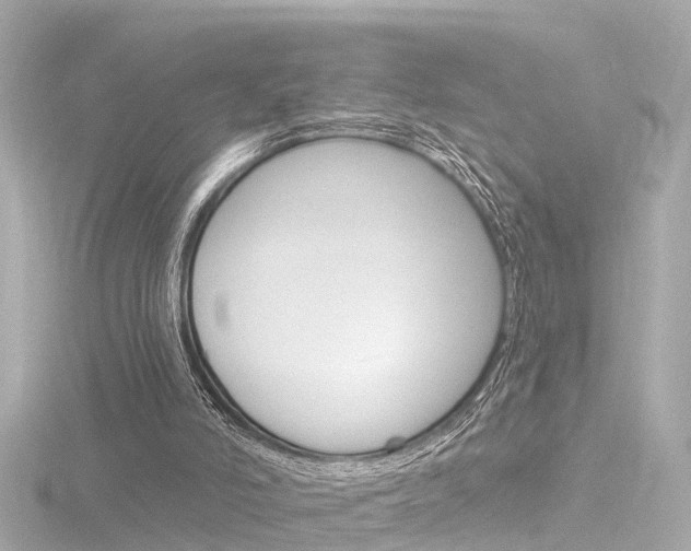 X0000116770006200912171140