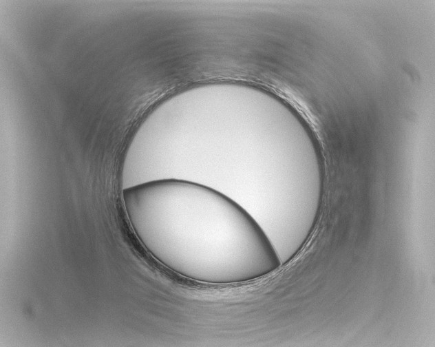 X0000116770017200912171140