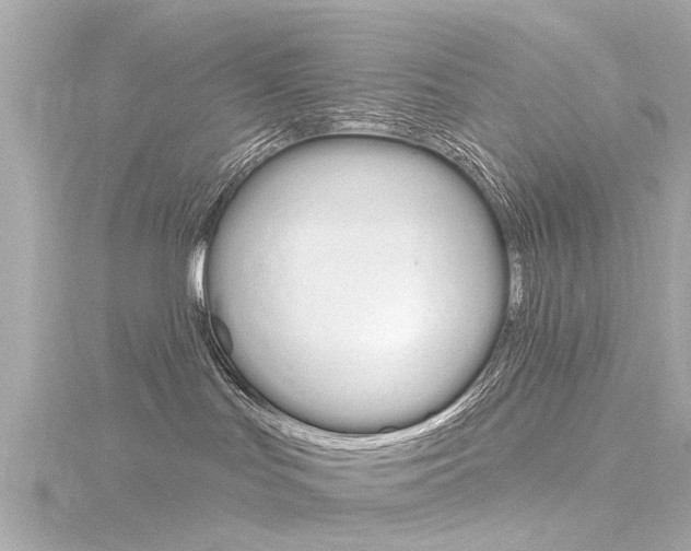 X0000116770047200912171140