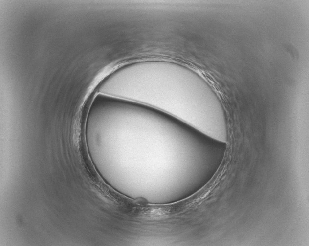 X0000116770056200912171139