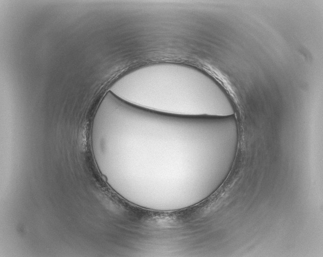 X0000116770065200912171139