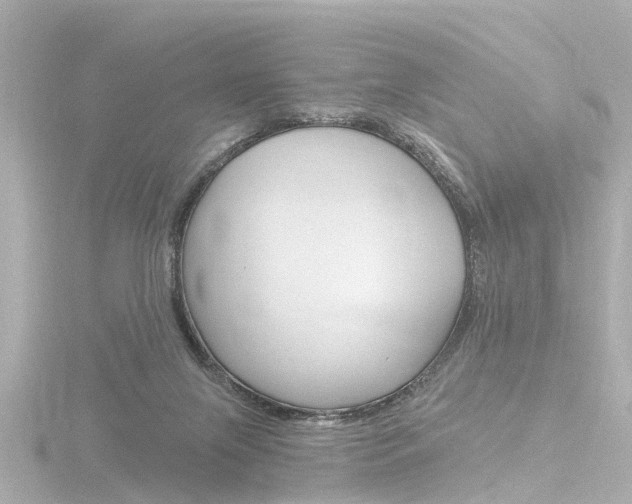 X0000116770071200912171140