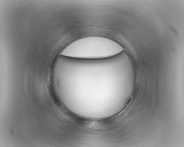 X0000116770074200912171140