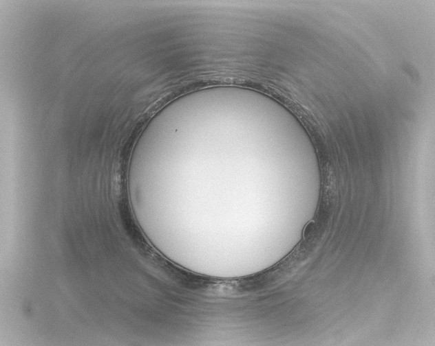 X0000116770080200912171140