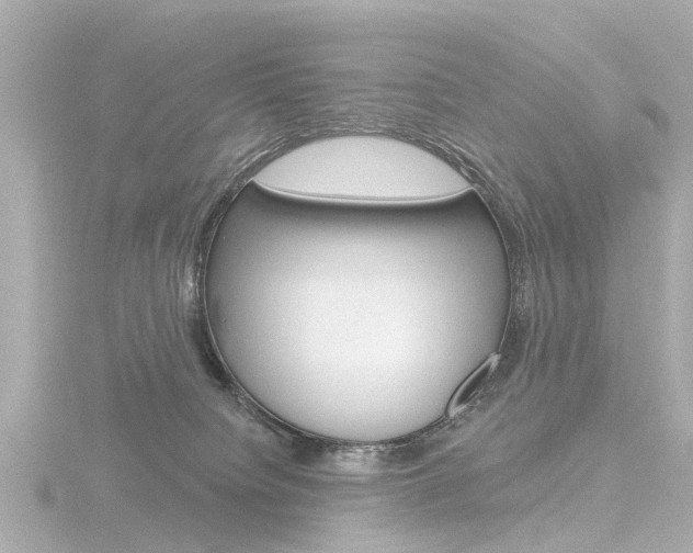 X0000116770084200912171140