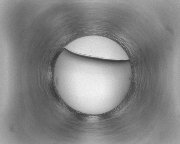 X0000116770085200912171140