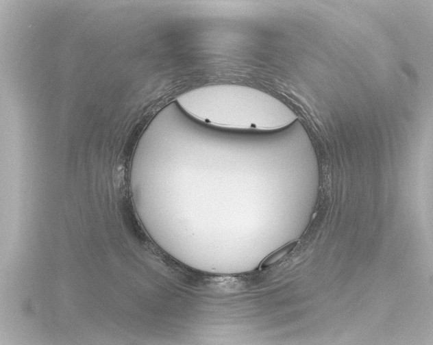X0000116770087200912171140