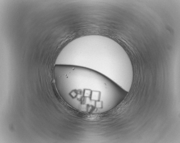 X0000116770088200912171140