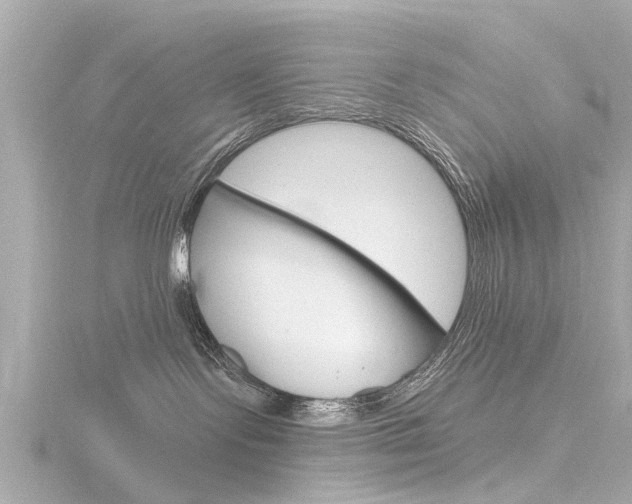 X0000116770095200912171140