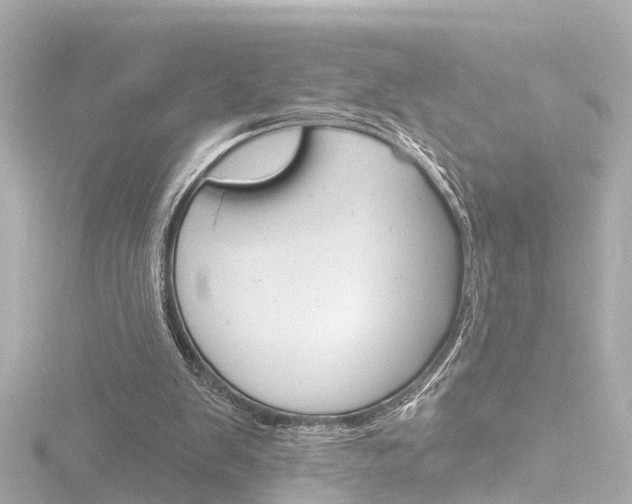 X0000116770103200912171139