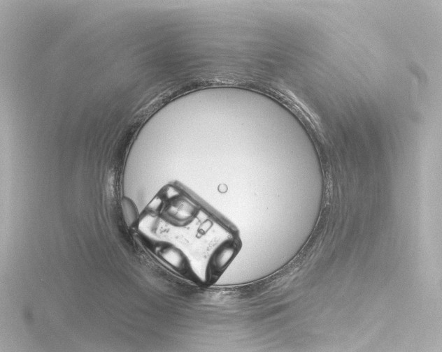 X0000116770117200912171139