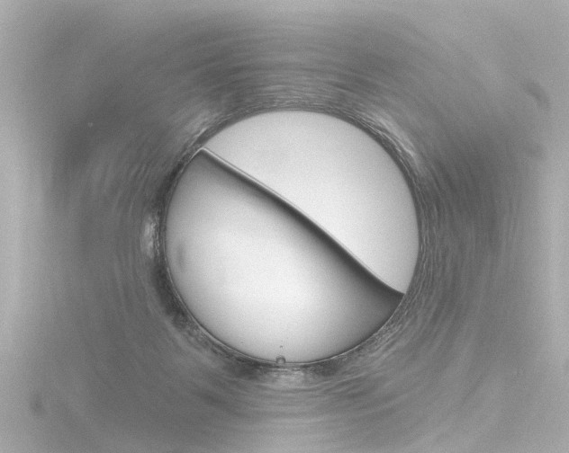 X0000116770123200912171139