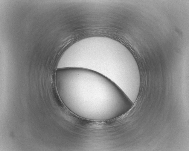 X0000116770128200912171139
