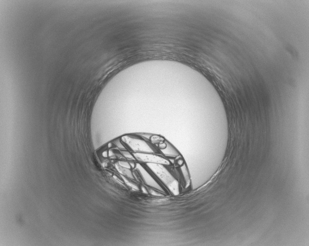 X0000116770132200912171139