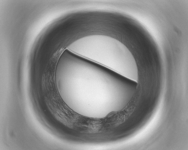 X0000116770143200912171139