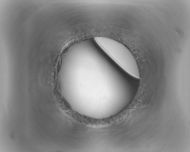 X0000116770144200912171138