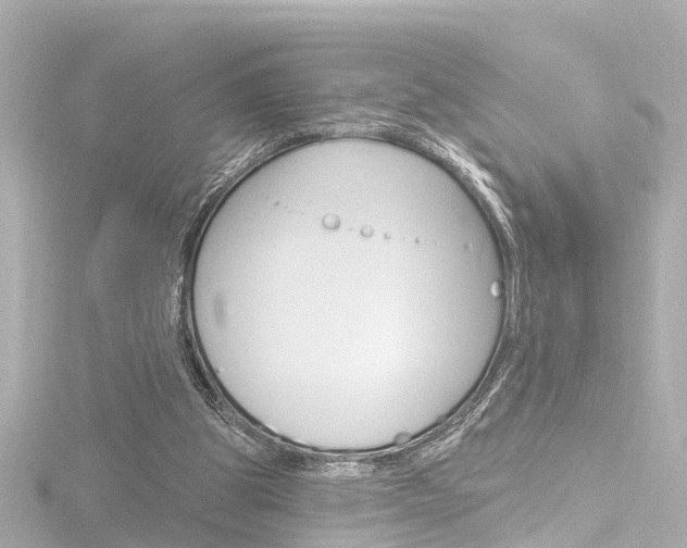 X0000116770153200912171138