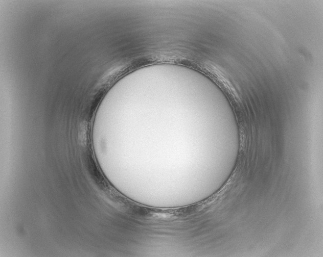 X0000116770167200912171138