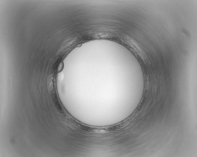 X0000116770169200912171138