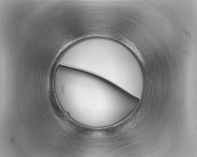 X0000116770204200912171138