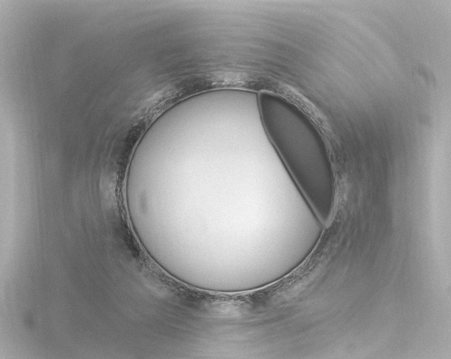 X0000116770209200912171138