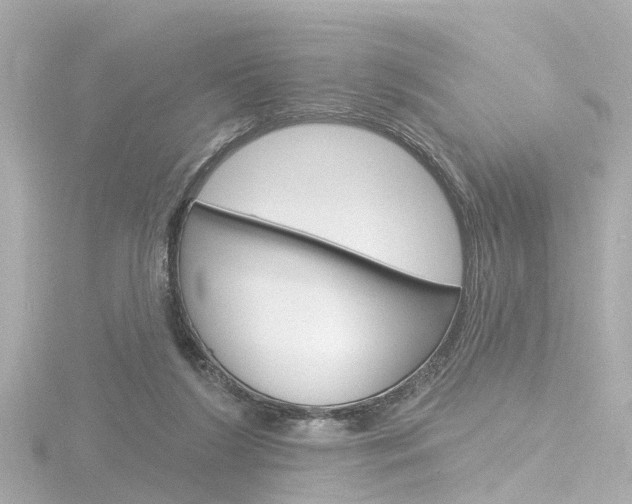 X0000116770212200912171138