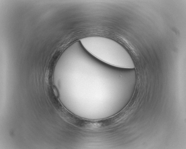 X0000116770217200912171138