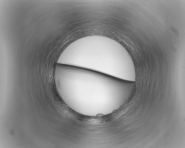 X0000116770236200912171137
