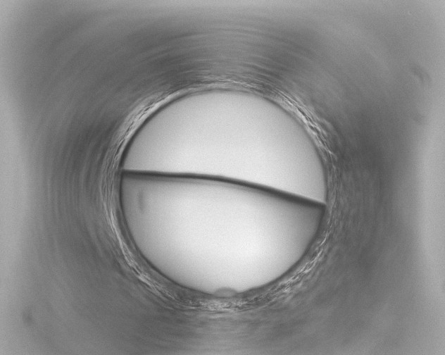 X0000116770241200912171136