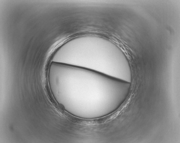 X0000116770245200912171136