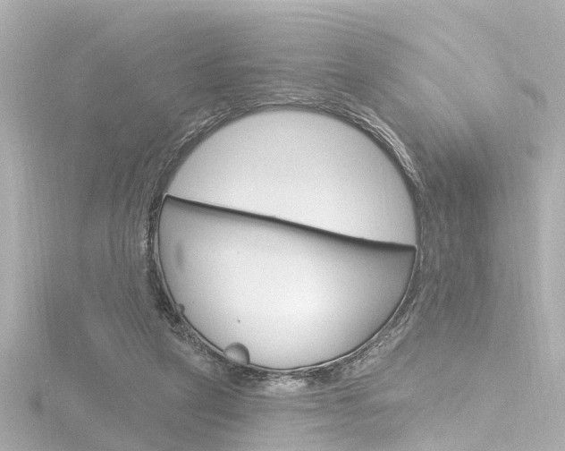 X0000116770257200912171137