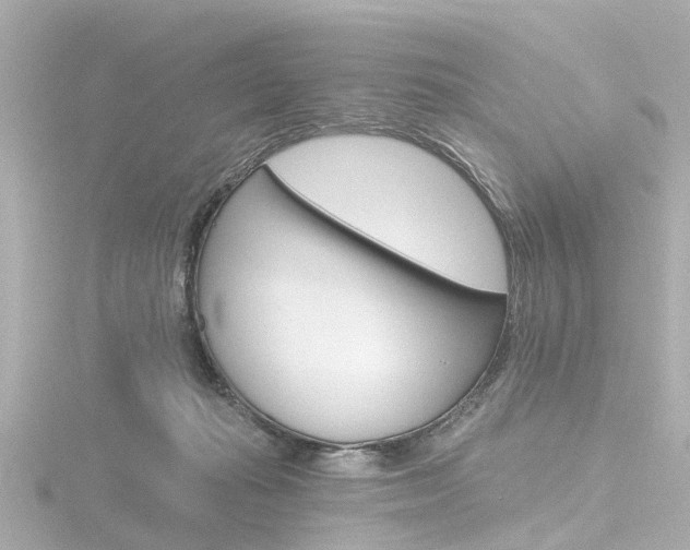 X0000116770269200912171137