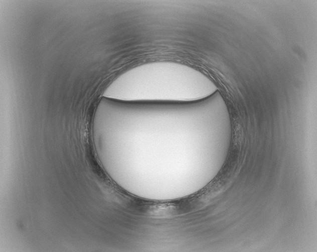 X0000116770274200912171137