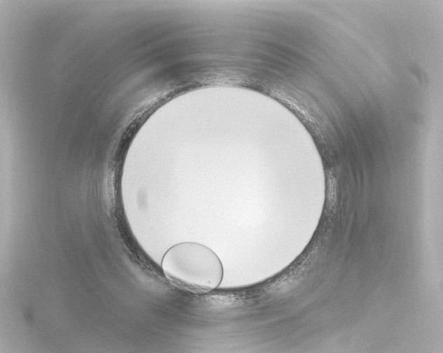 X0000116770302200912171136