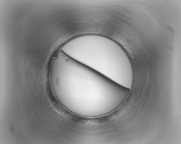 X0000116770303200912171136