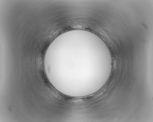 X0000116770322200912171136