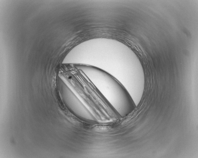 X0000116770332200912171136