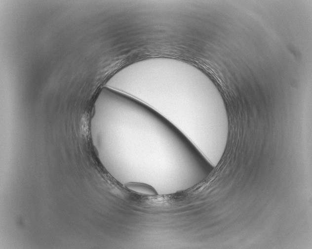 X0000116770335200912171136