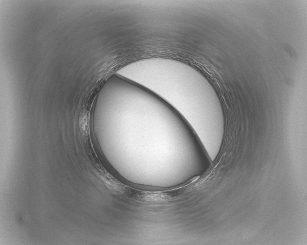 X0000116770336200912171136