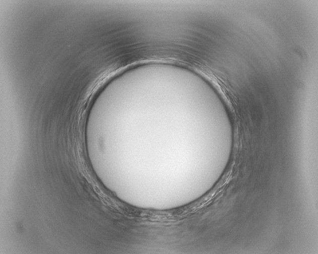 X0000116770337200912171135