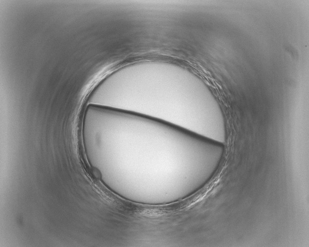 X0000116770341200912171135