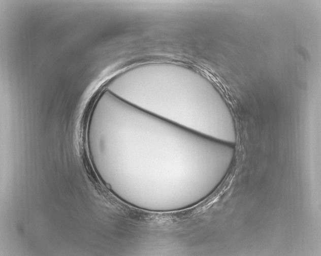 X0000116770343200912171135