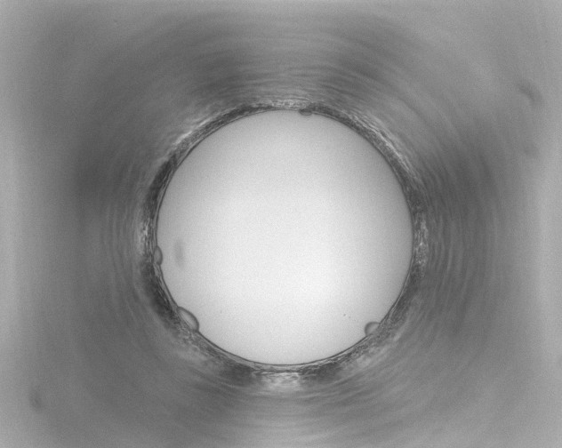 X0000116770355200912171135
