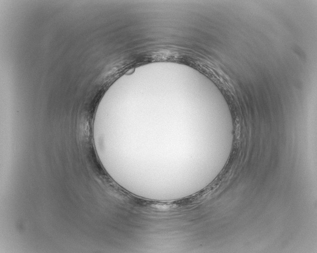 X0000116770375200912171136