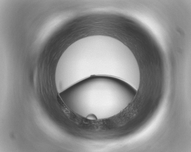 X0000116770382200912171136